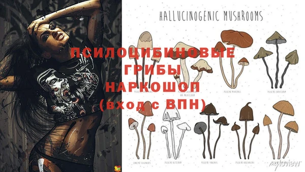 МДПВ Няндома