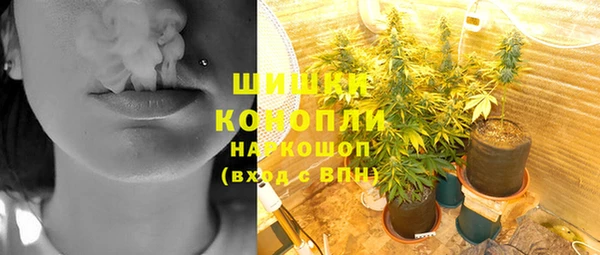 МДПВ Няндома