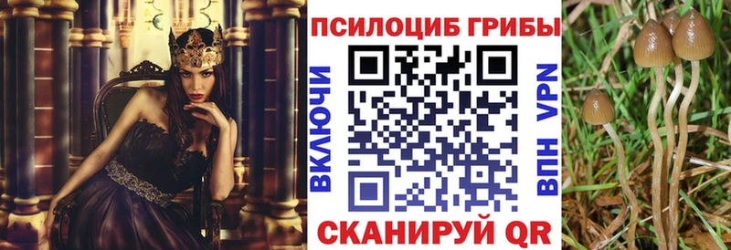 Купить где  Киреевск  Псилоцибиновые грибы мицелий 